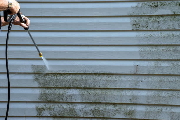 Best Siding Painting and Refinishing  in Lake Odessa, MI