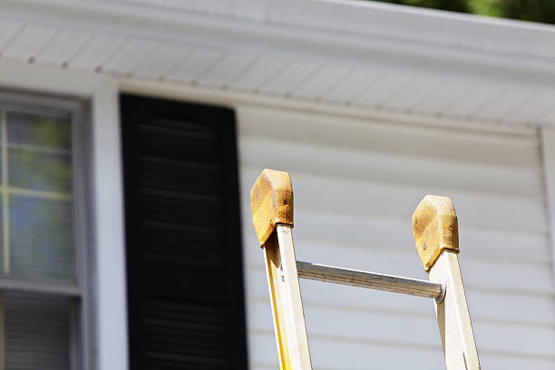 Best Brick Veneer Siding  in Lake Odessa, MI